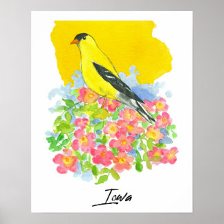 Iowa State Shape Goldfinch Pink Wild Roses Poster