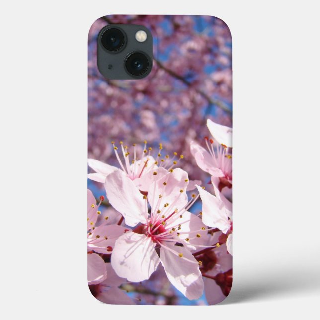 iPAD 2/3/4 cases Pink Spring Flower Tree Blossoms (Back)
