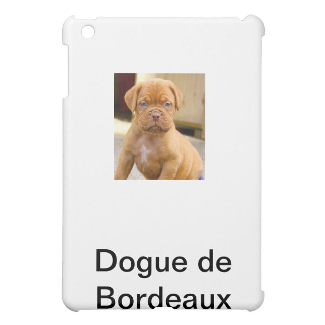 IPAD CASE*** iPad MINI CASE (Back)