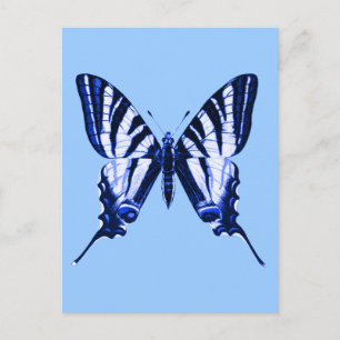 Iphiclides podalirius Postcard