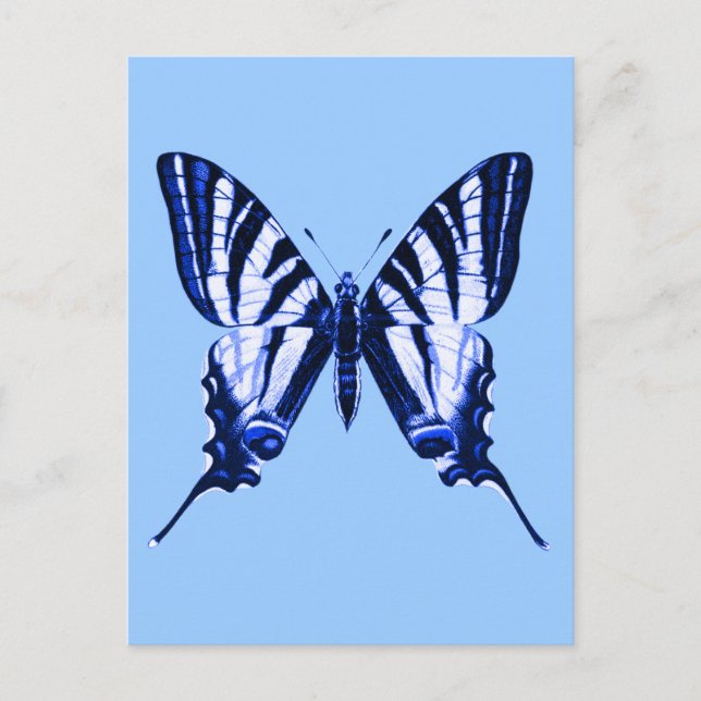 Iphiclides podalirius Postcard (Front)