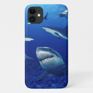 iPhone 11 Case-Sharks Case-Mate iPhone Case