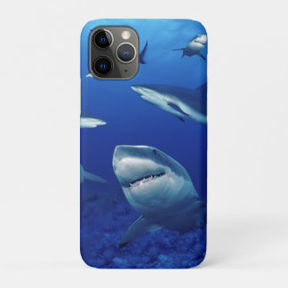 iPhone 11Pro Case-Sharks Case-Mate iPhone Case