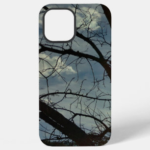 iphone 12 pro max Case