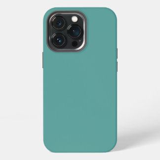 iPhone 13 pro case