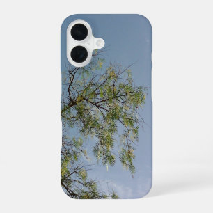 iPhone 16 case