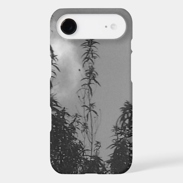 iPhone 17 air case (Back)