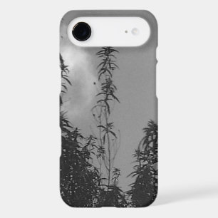 iPhone 17 air case