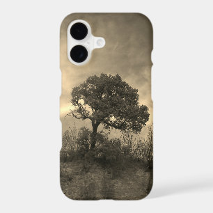 iPhone 17 case