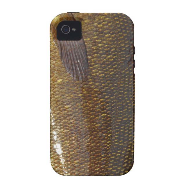 iPhone 4 Vibe Case (SMALLMOUTH BASS) (Back)