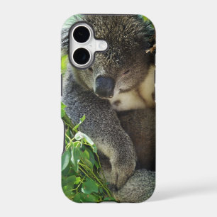 iphone 5 barely there qpc template iP - Customised