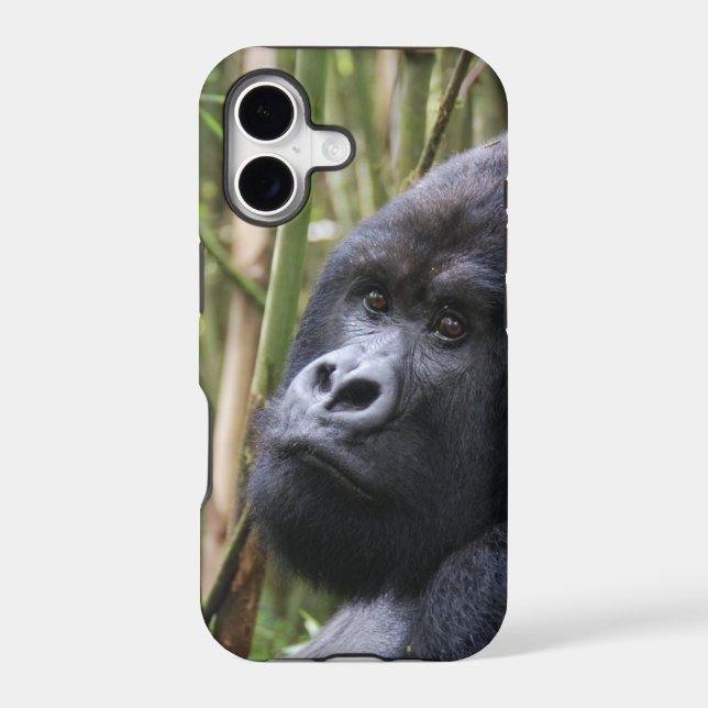 iphone 5 barely there qpc template ip - Customised (Back)