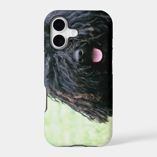 iphone 5 barly there QPC template iPh - Customised (Back)