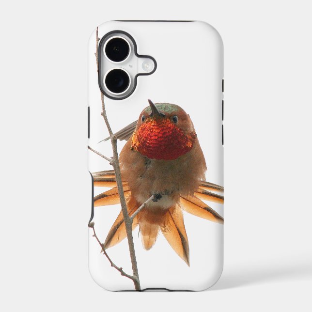 iPhone 5 Case (Back)