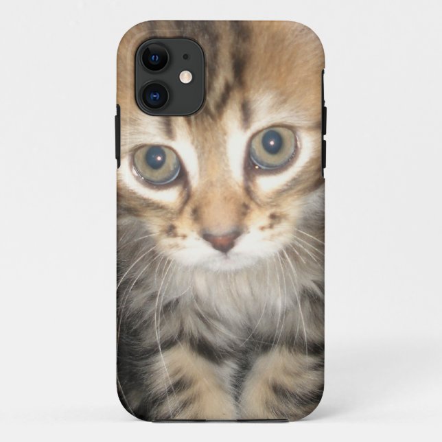 Iphone 5 Case - Kitten (Back)