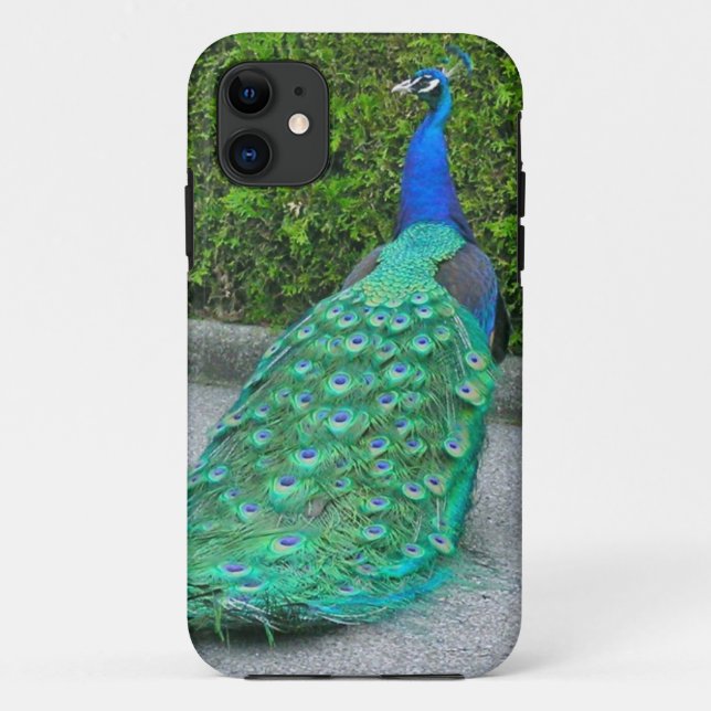 iPhone 5 Case, "Proud Peacock" Case-Mate iPhone Case (Back)