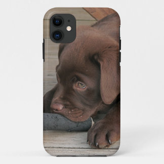 Iphone 5 case with chocolate Labrador retriever