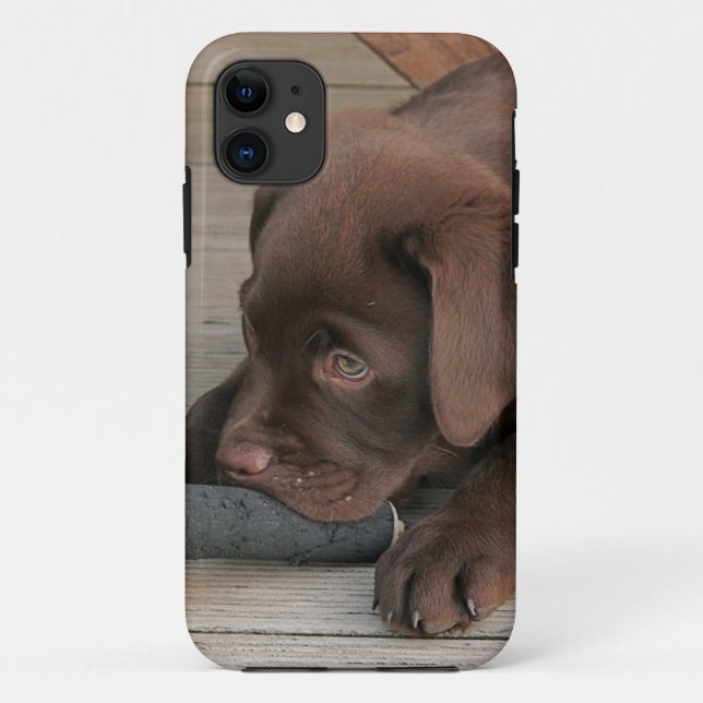 Iphone 5 case with chocolate Labrador retriever (Back)