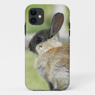 iPhone 5 case with rabbit in profile