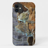 IPhone 5 Case with two curious lizards