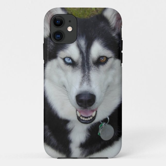IPhone 5 Cover Siberian Husky (Back)