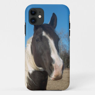 iPhone 5 Horse Case