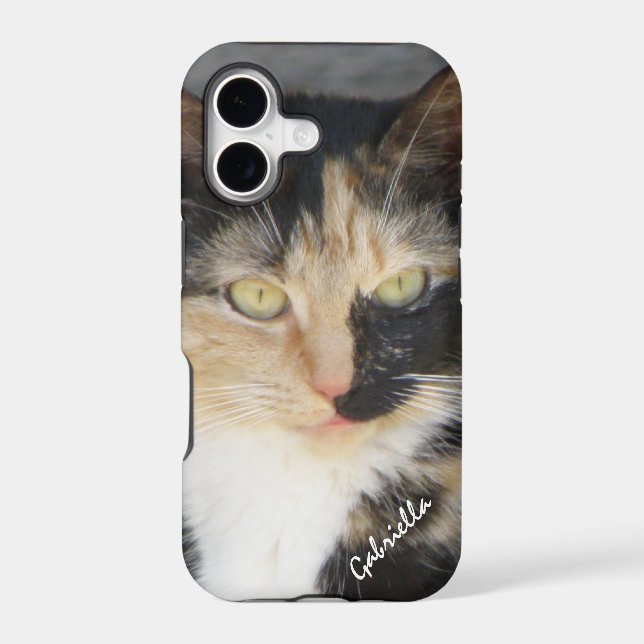 iPhone 5: Personalised Calico Kitty Case (Back)