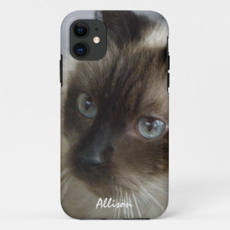 iPhone 5: Personalised Siamese Kitty Case