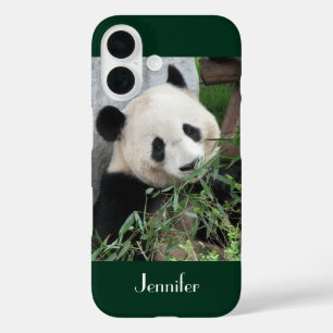 iPhone 6 Case Giant Panda Dark Green Background