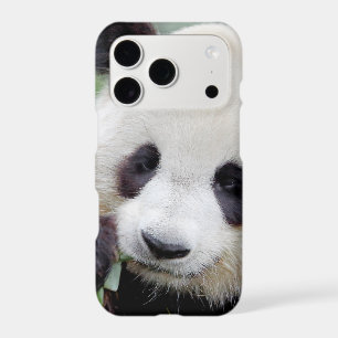 iPhone case Photo giant panda , animals.