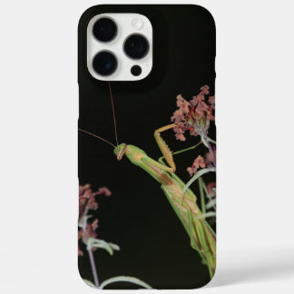 iPhone case with praying mantis picture