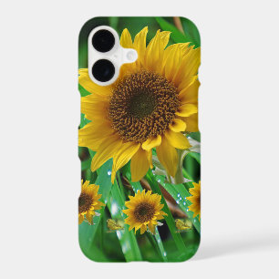 IPhone Cases Sunflowers