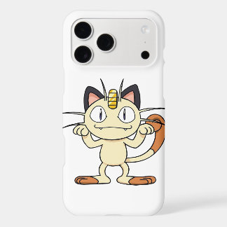 iPhone / iPad case
