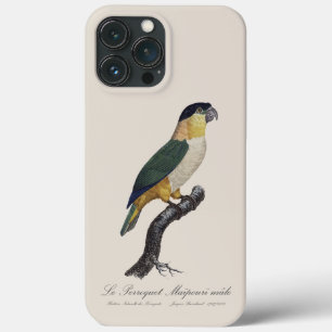 iPhone / iPad case