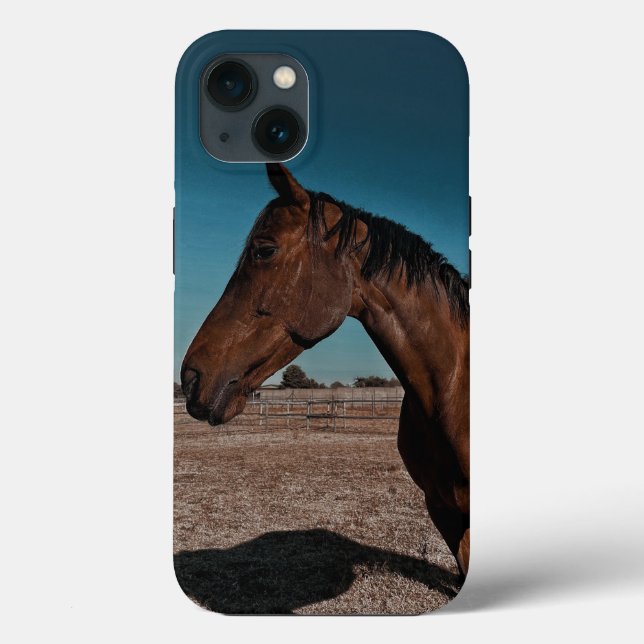 iPhone / iPad case (Back)