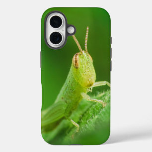 iPhone / iPad case