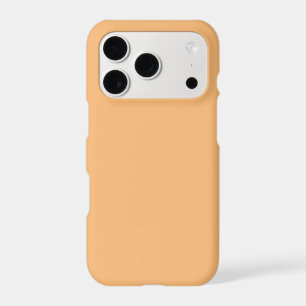 iPhone / iPad case