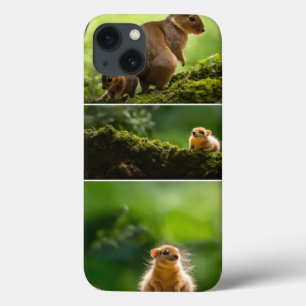 iPhone / iPad case