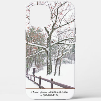 iPhone  X case (10 phone)