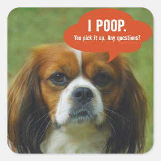 iPoop Spaniel Square Sticker