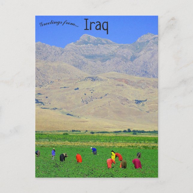 Iraqi Kurdish villagers in Iraq Postcard (Front)