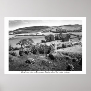 Ireland - Co. Laois, Dunamase Castle Poster