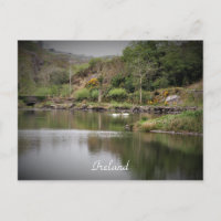 Ireland, County Cork, Lake, Swans, Photography