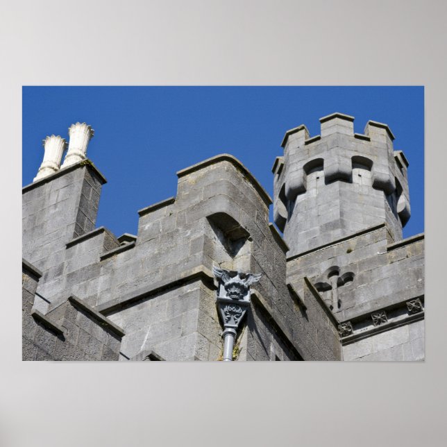Ireland, County Kilkenny, mediaeval castle. Poster (Front)