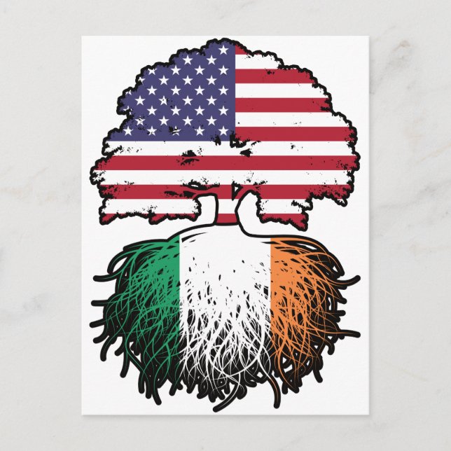Ireland Irish American USA United States America Postcard (Front)