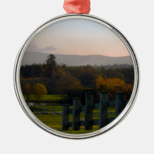 Ireland is Beautiful Metal Tree Decoration