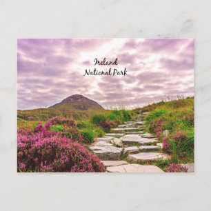 Ireland National Park Postcard