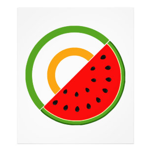 IRELAND STANDS WITH PALESTINE - Watermelon Photo Print