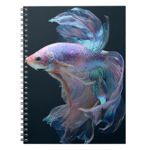 Iridescent Betta Fish Glow Notebook
