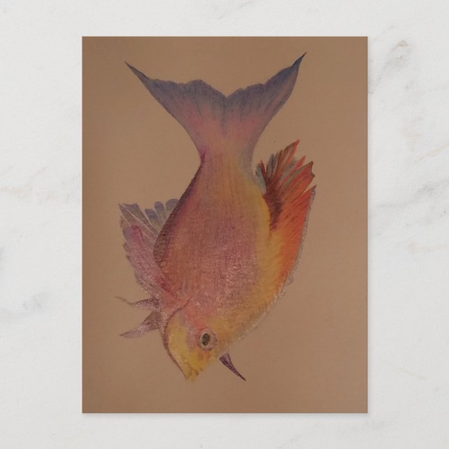 Iridescent Fish Postcard (Front)